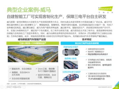 2025年新能源市場(chǎng)展望 威馬等企業(yè)潛力無(wú)限，技術(shù)咨詢(xún)服務(wù)助力行業(yè)騰飛